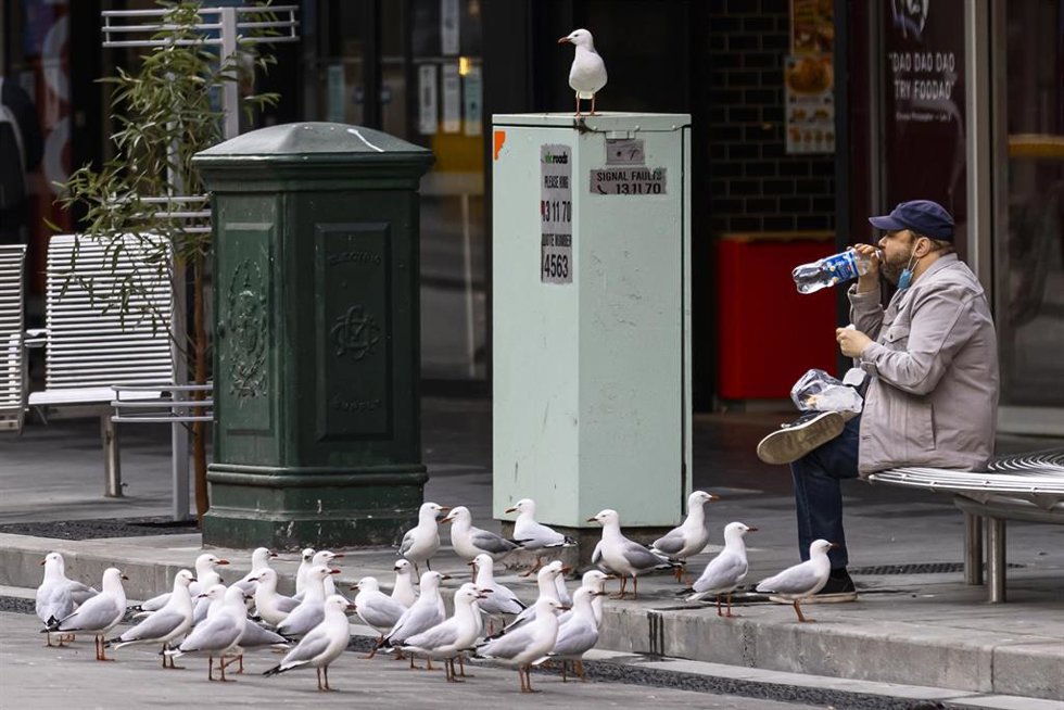 Ciudadano de Australia durante la pandemia de coronavirus