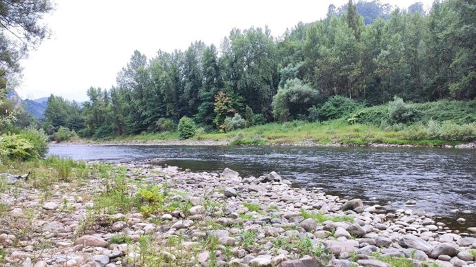 Archivo - Río Nalón, a su paso por Caces