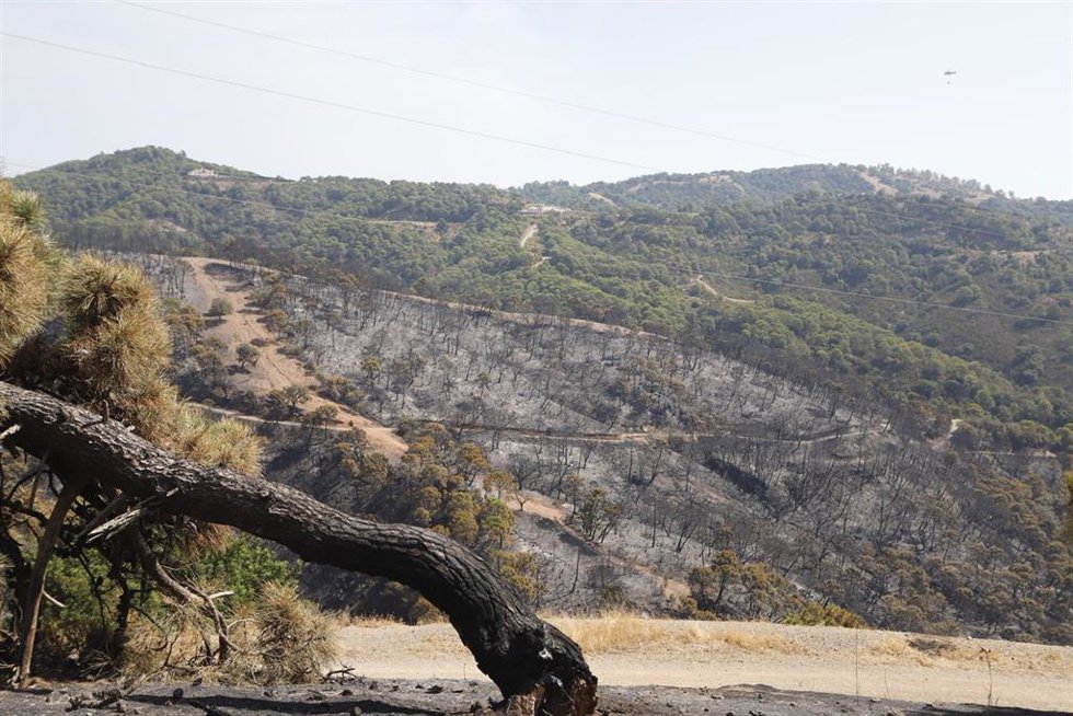 Parajes quemados en el incendio de Sierra Bermeja en una imagen de archivo 