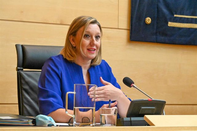 La consejera de Familia e Igualdad de Oportunidades, Isabel Blanco, durante su comparecencia en las Cortes.