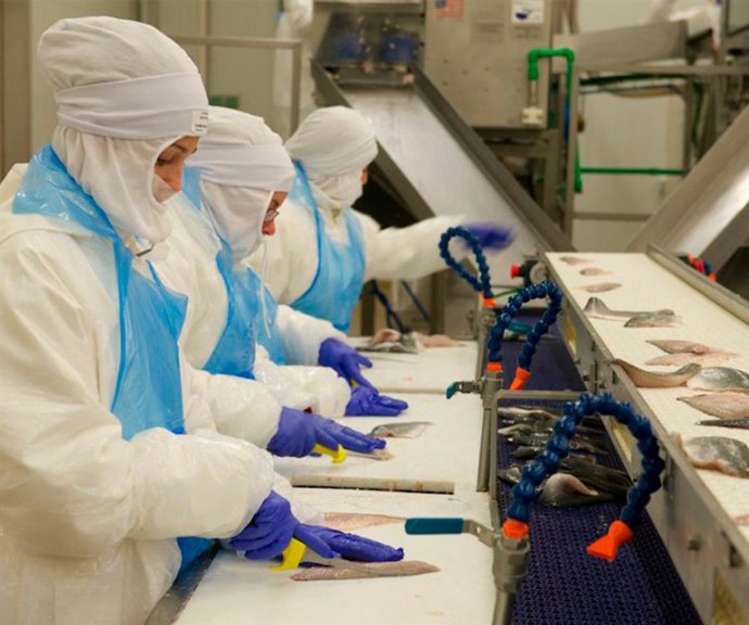 Archivo - Imagen de recurso de trabajadores de Profand Fishing Holding.