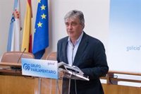 El PPdeG apuesta por "reformas estructurales" en el mercado eléctrico y vuelve a rechazar la tarifa gallega del BNG