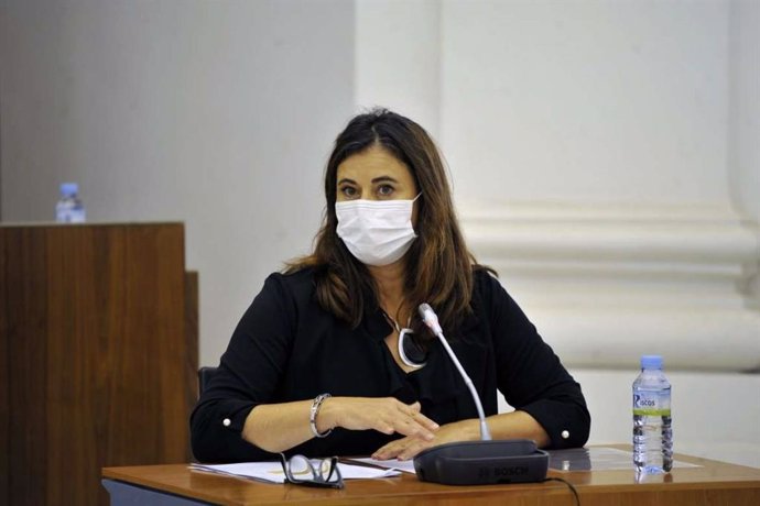 La directora general de Financiación Autonómica y Fondos Europeos, Lourdes Hernández, en comisión en la Asamblea