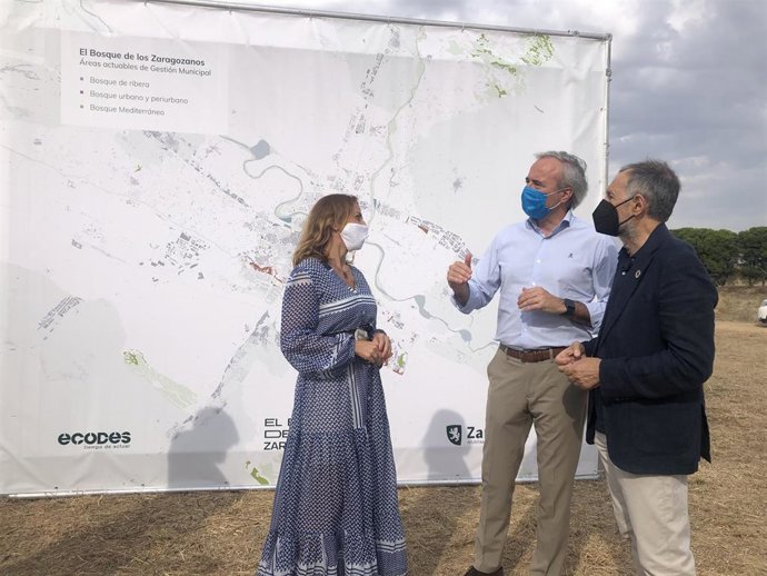 El Ayuntamiento de Zaragoza estima que las solicitudes para el pago de las facturas de la luz volverá a duplicarse