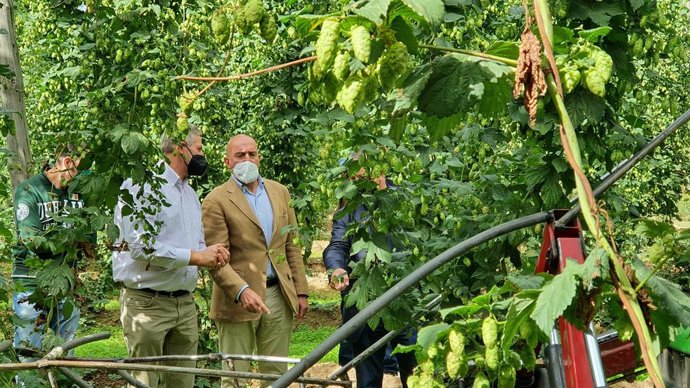 El consejero de Agricultura, Ganadería y Desarrollo Rural, Jesús Julio Carnero, en la visita a una explotación de cultivo de lúpulo en Gavilanes de Órbigo (León).