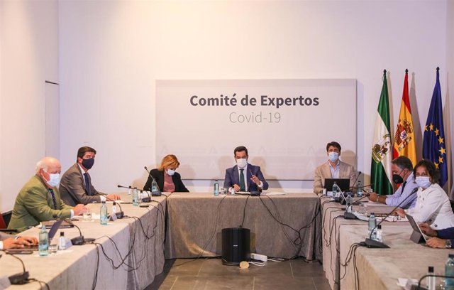 Foto de archivo de la reunión del Comité de Expertos sobre el coronavirus de la Junta de Andalucía.