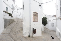 Autorizada la vuelta a sus viviendas de los 250 vecinos de Genalguacil desalojados por el incendio