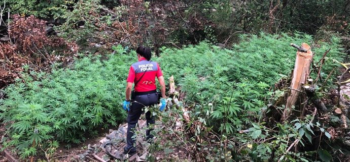 Imagen de una agente en la plantación.