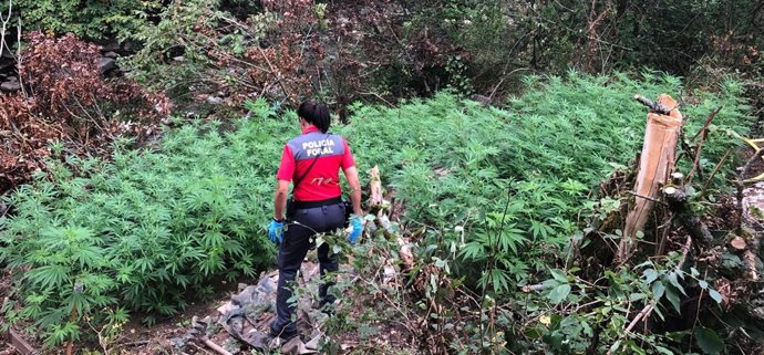 Imagen de una agente en la plantación.