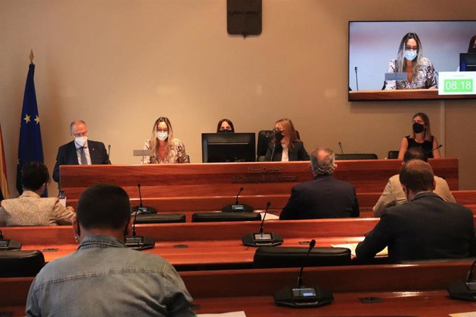 Comparecencia de la consejera de Presidencia, Rita Camblor, y el gerente del SEPA, Óscar Rodríguez