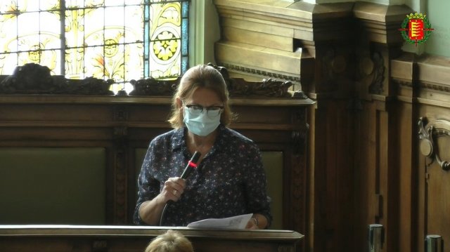 Intervención de Concepción Ayala, del Foro Feminista, en el Pleno del Ayuntamiento de Valladolid.