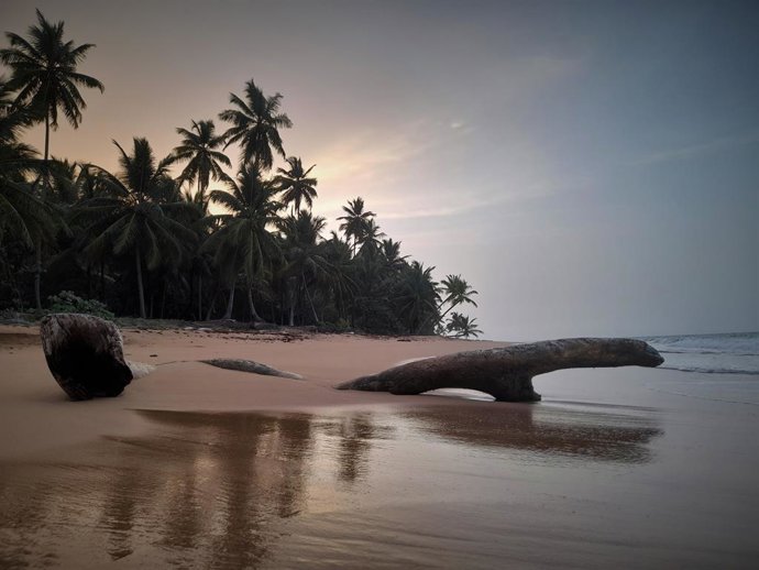 Grupo Piñero impulsa 'Samaná biodiverso, limpio y sostenible'