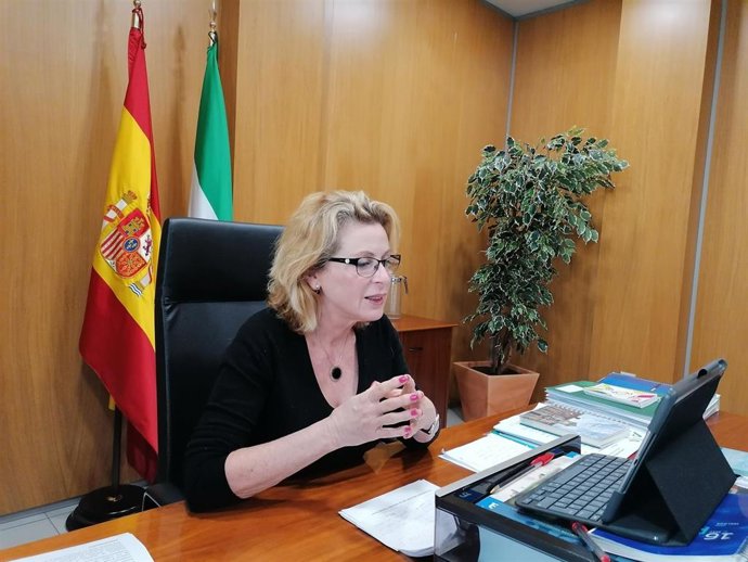 Archivo - La delegada territorial de Empleo, Formación, Trabajo Autónomo, Economía, Conocimiento, Empresas y Universidad en Málaga, Carmen Sánchez Sierra, participa en un encuentro virtual