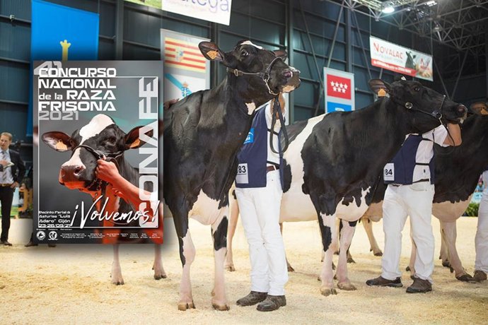 Concurso Nacional de la Raza Frisona CONAFE 2021