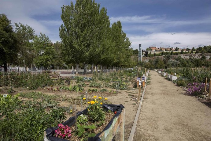 Huertas de Etxabakoitz