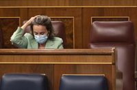 El PP rechaza recortar beneficios de las eléctricas: "Pasamos del peronismo al 'pedronismo'"