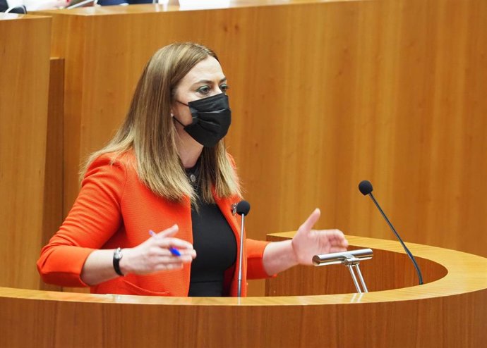 Archivo - La vicesecretaria general del PSOE en Castilla y León y viceportavoz en las Cortes de Castilla y León, Virginia Barconés.Archivo