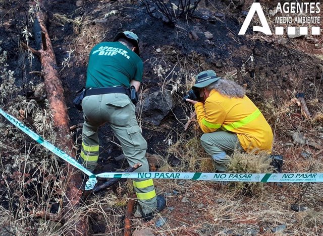 Investigación del incendio de Sierra Bermeja