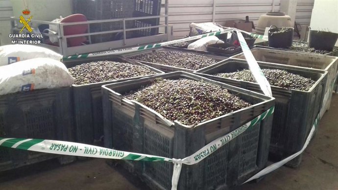 Aceitunas intervenidas por la Guardia Civil para el control de su trazabilidad
