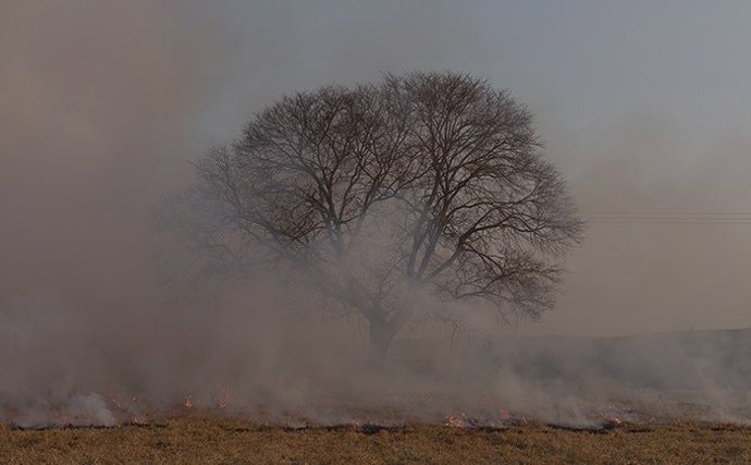 Jornada 'Da emerxencia (creativa)'