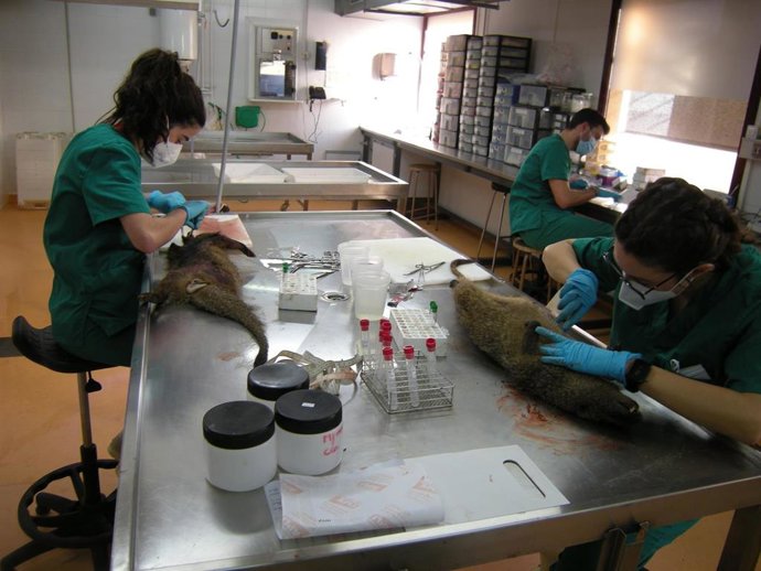 Investigadores en el Instituto de Investigación en Recursos Cinegéticos