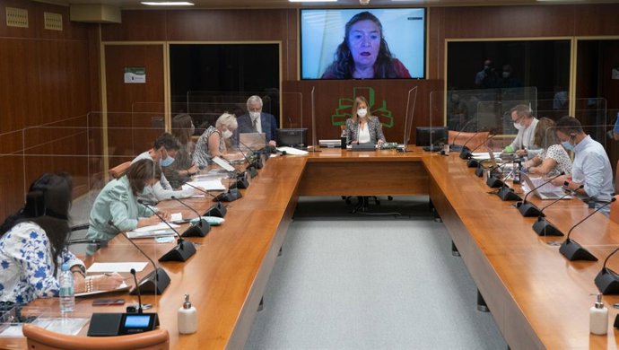 Comparecencia de Sagardui ante la Comisión de Salud