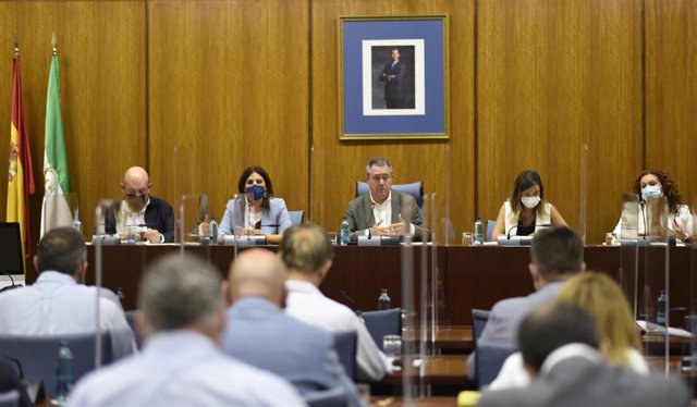 Juan Espadas, este miércoles en el Parlamento