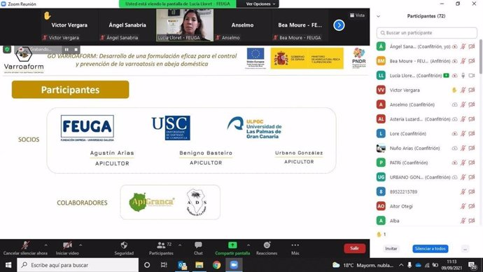 Captura de pantalla durante la celebración del webinar