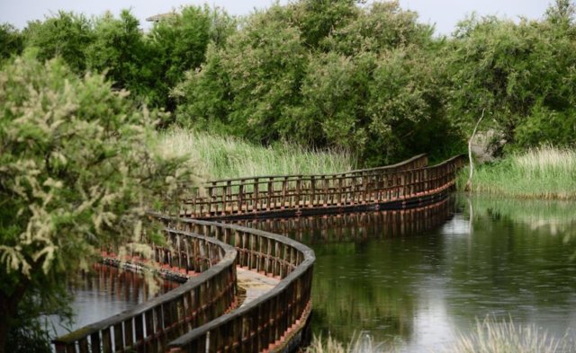 Aprobado el bombeo de agua de pozos a las Tablas de Daimiel para paliar la situación hídrica del parque