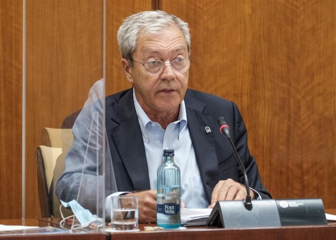 El consejero de Transformación Económica, Industria, Conocimiento y Universidades, Rogelio Velasco, en una comisión parlamentaria.