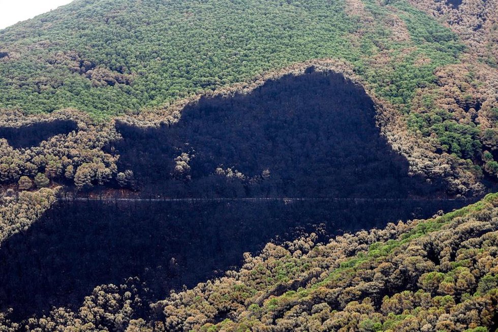 Zonas quemadas por el incendio de Sierra Bermeja, en el área de Puerto de Peñas Blancas a 14 de septiembre 2021 en Estepona (Málaga) Andalucía