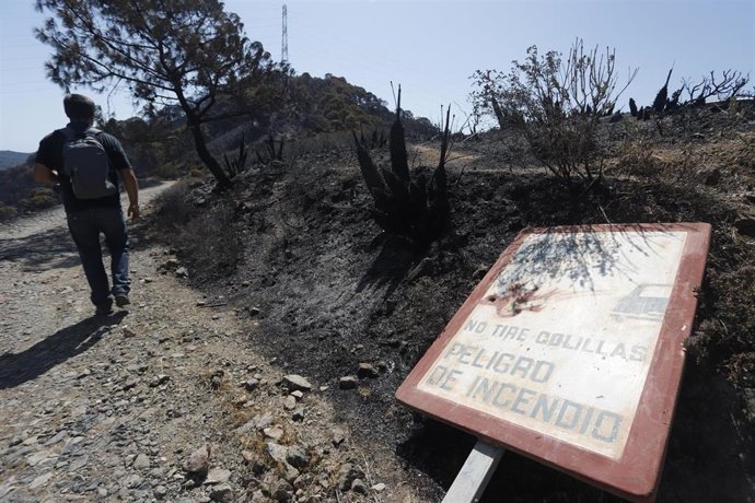 Parajes quemados en el que los medios aéreos y terrestres continúan este sábado luchando contra el incendio en Sierra Bermeja, que se declaró este pasado miércoles y sigue activo. El fuego, por el que se ha activado el nivel 2 del Plan Infoca, afecta a 