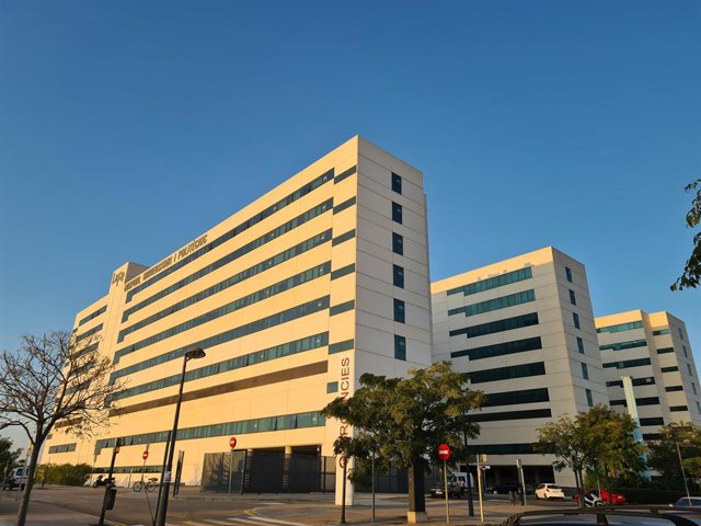 Archivo - Hospital La Fe de València