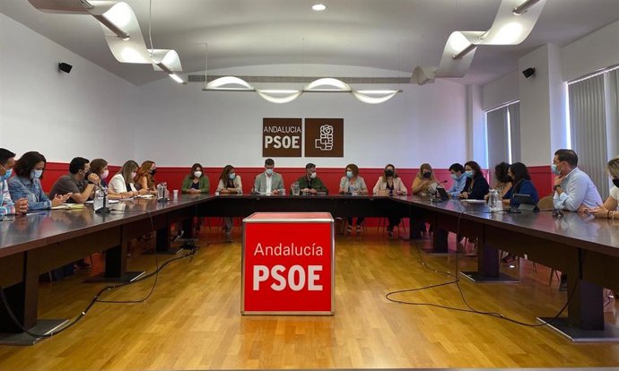Encuentro del coordinador del Grupo de Impulso y Escucha Activa del PSOE de Andalucía, Felipe Sicilia, con el Grupo de Impulso de la provincia de Sevilla.