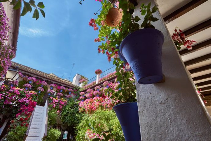 Imagen de un patio de Córdoba.