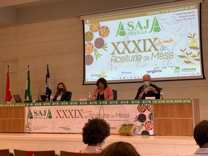 Inauguración de la XXXIX Jornada de Aceituna de Mesa