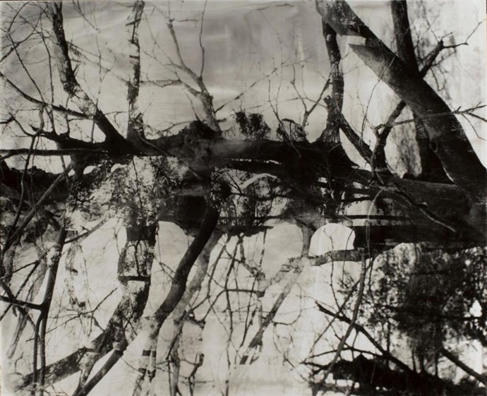 Shigeru Onishi (Takahashi, 1928-1994) . Sin Título. Fotografía a las sales de plata. Ca. 1950 45,2 x 55,9 cm Colección Per Amor a lArt