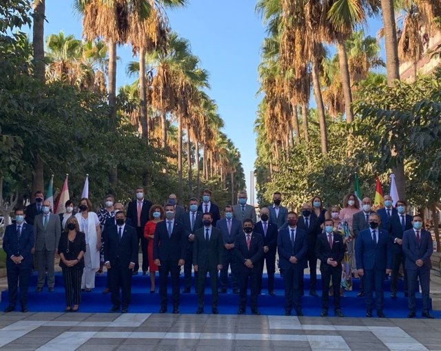 Asistentes a la reunión de la comisión de diputaciones provinciales, cabildos y consejos insulares de la FEMP.