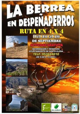 Cartel de la actividad