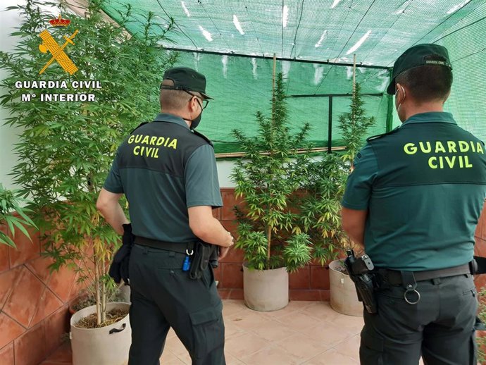 Intervención en la azotea de la vivienda