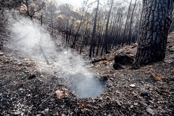 Zonas quemadas por el incendio de Sierra Bermeja, en el área de Puerto de Peñas Blancas a 14 de septiembre 2021 en Estepona (Málaga) Andalucía