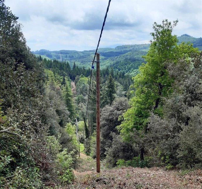 Endesa pone en servicio la primera línea con cable trenado de Girona y la Catalunya Central