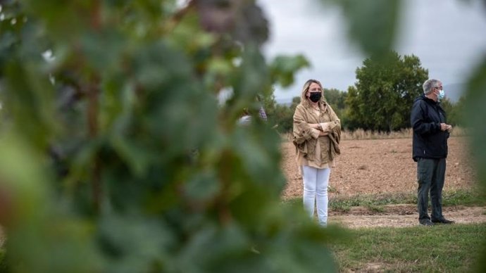 La consejera de Agricultura, Eva Hita de visita a la vendimia en la Finca Valdegón