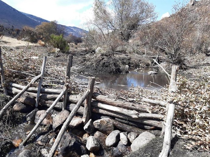 Imagen de las obras de restauración de cauces