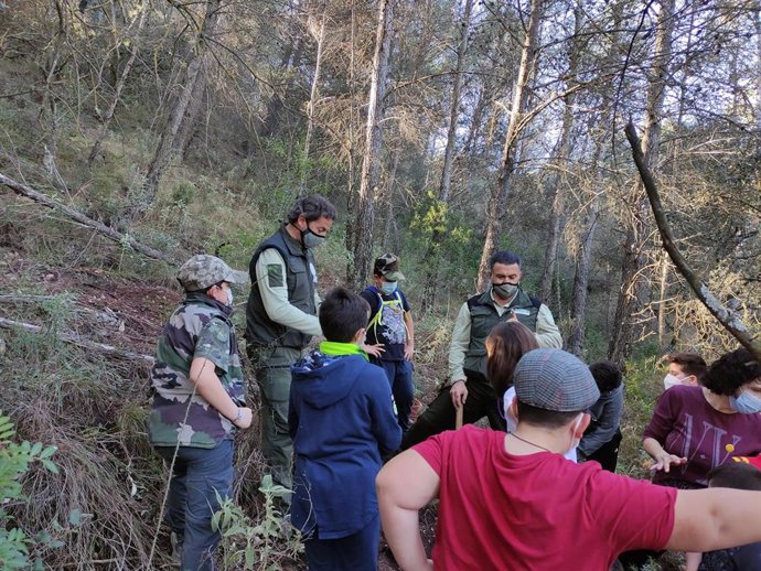 Archivo - Plantación de pinsapos en El Burgo