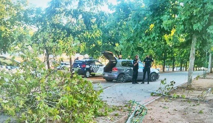 Operación de Policía Local contra la marihuana