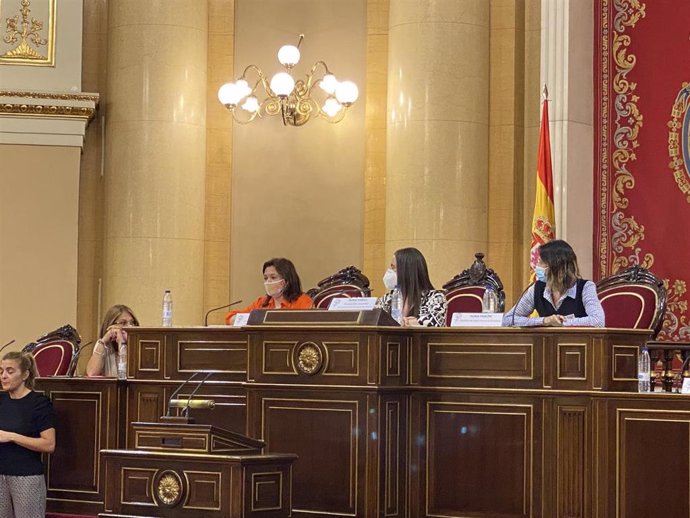 La consellera de Presidencia, Función Pública e Igualdad del Govern balear, Mercedes Garrido, durante una intervención en el Senado.