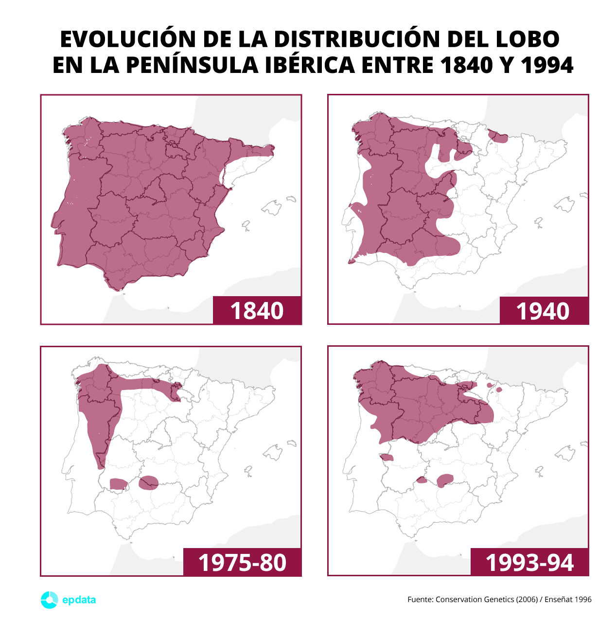El lobo en España, en gráficos
