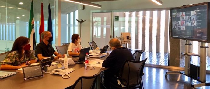 Reunión por videoconferencia del Consejo Asesor de Espectáculos Públicos y Actividades Recreativas de Extremadura
