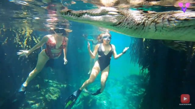 El fotógrafo submarino Ken Kiefer y su mujer Kimber se sumergen en un cenote mexicano para nadar entre cocodrilos